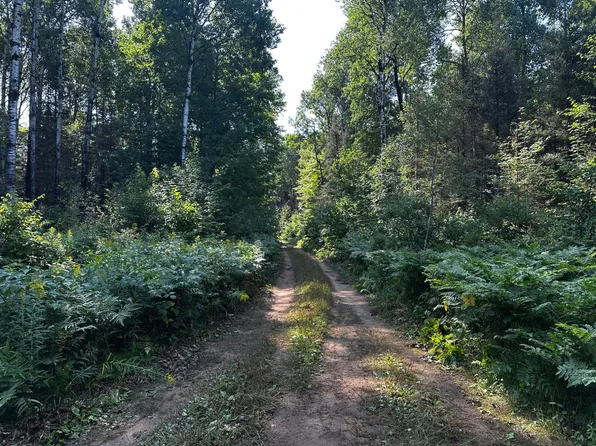 Lots 5&6 Old Hwy #2-E, Watersmeet, MI 49969