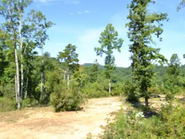 Rock Springs Rd #408-412, Celina, TN 38551