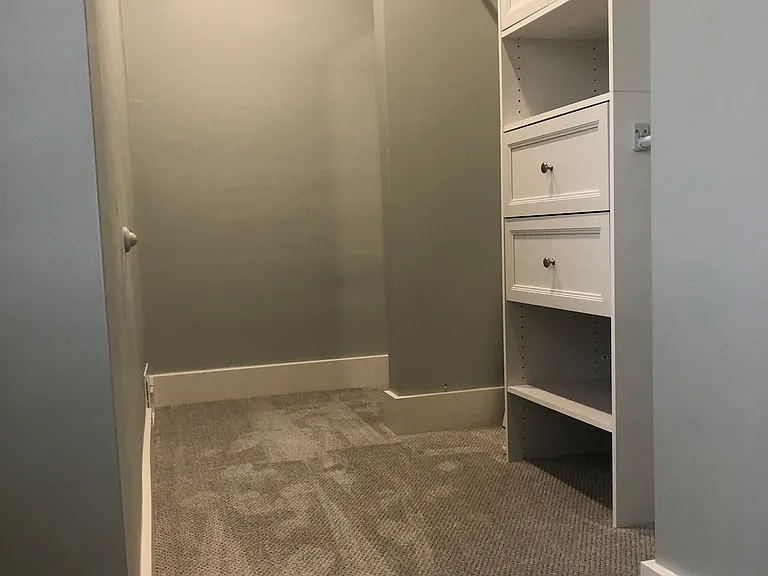 Walk in Closet with Laundry