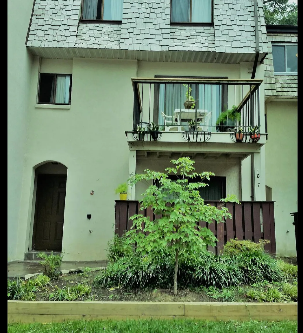 1 bed, 11 sqft, $1,200 — Photo 1