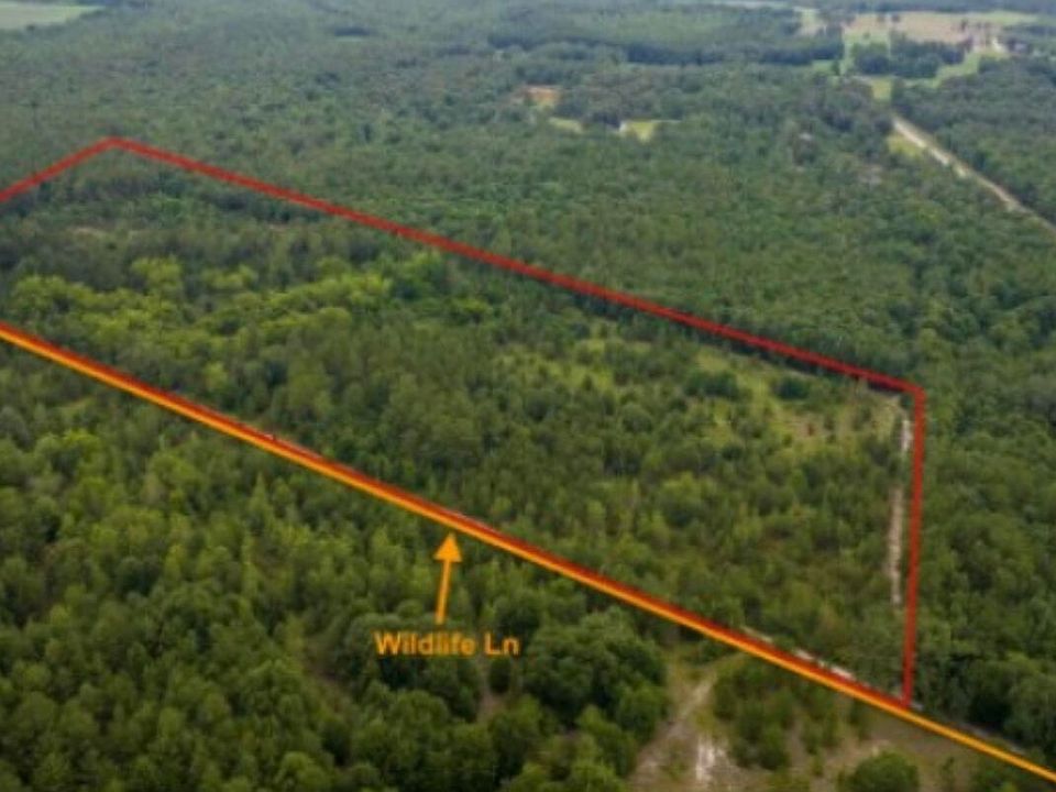 1st image of 354 Wildlife Lane