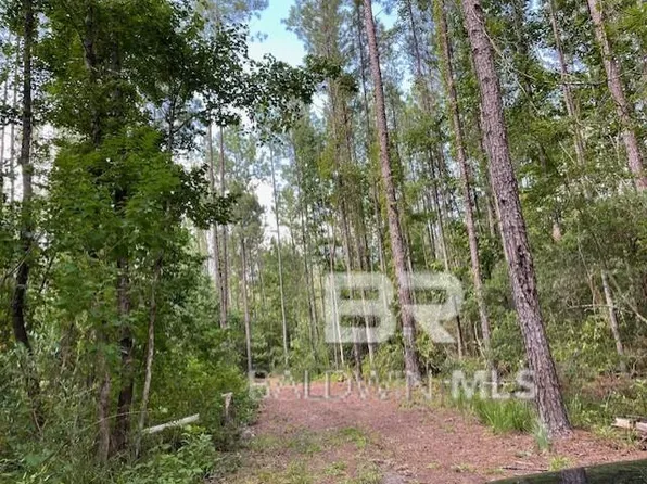 0 Highway 29, Andalusia, AL 36420