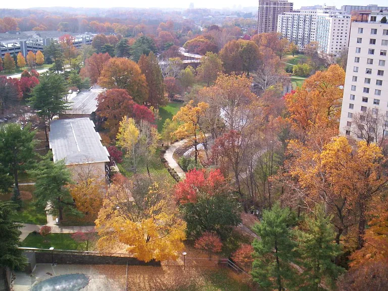 View from balcony