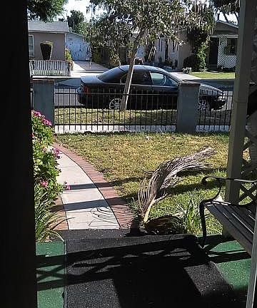 3rd image of 4857 W 98th St