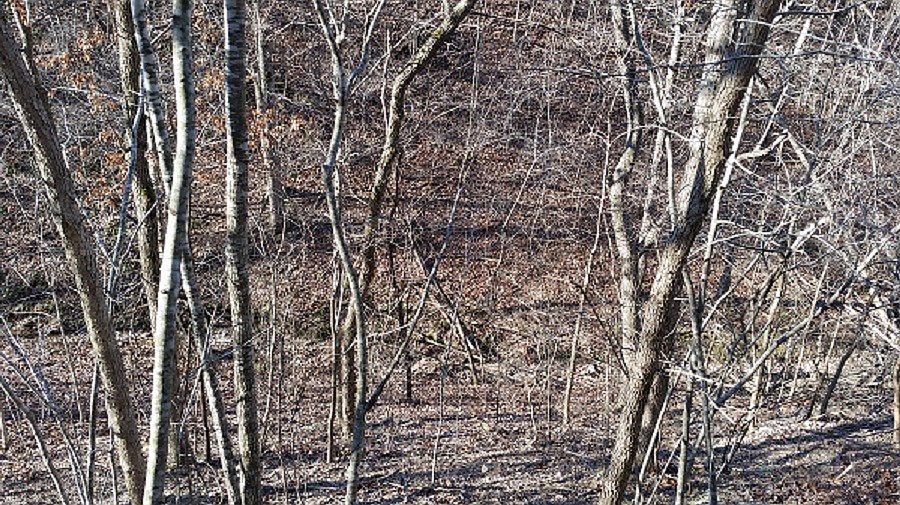 1st image of Highlands Blvd