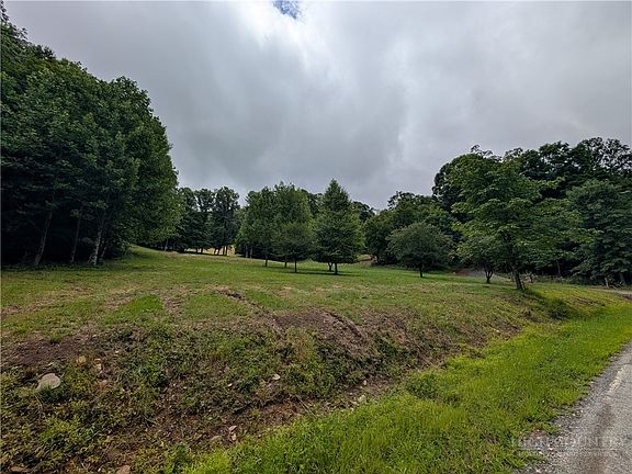 3rd image of TBD Cobbs Creek Road