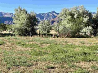 48784 Cool Creek Dr, Mesa, CO 81643