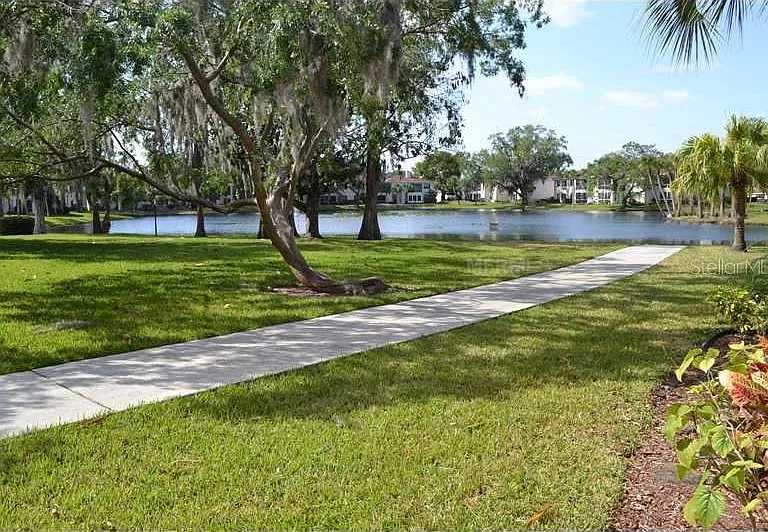 10380 Carrollwood Ln #264 — Photo 12