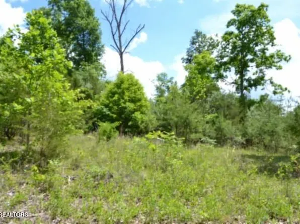 31.22 Beauchamp Rd, Burkesville, KY 42717