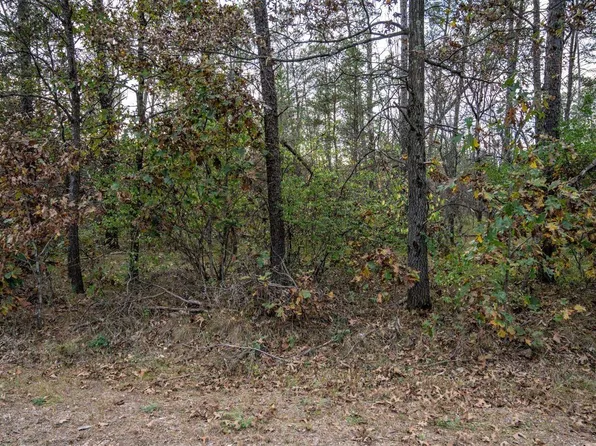 Lots 237 & 242 Woodland Trail #237 & 242, New Lisbon, WI 53950