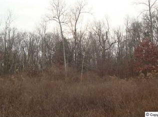 267 Wedgewood Terrace Rd, Madison, AL 35757