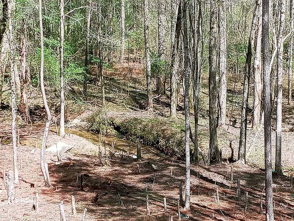 Creek in backyard 