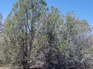 197 Juniper Woods, Ash Fork, AZ 86320