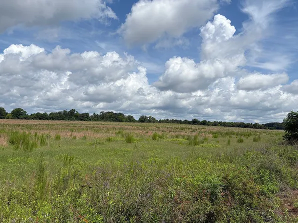 64 Gooseneck Rd, Hawkinsville, GA 31036