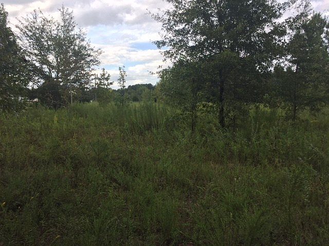 2nd image of 1523 Rev J W Carter Rd