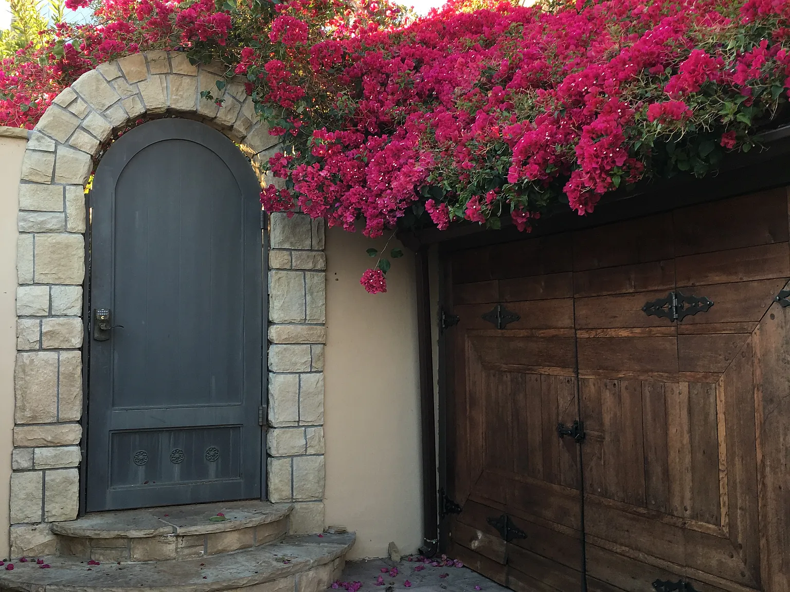 1 bed, 550 sqft, $3,000 — Photo 3