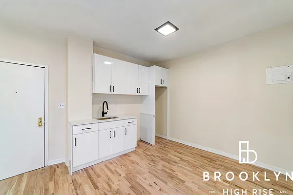 Rented by Brooklyn High Rise LLC | media 2