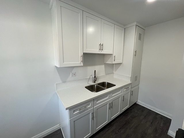 New Kitchen Cabinets, Counters, Sink and Faucet