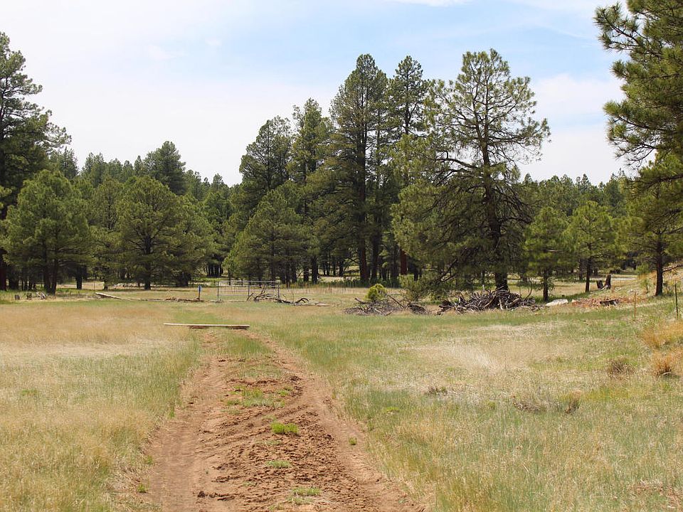 2nd image of 6012 White Tail Ln