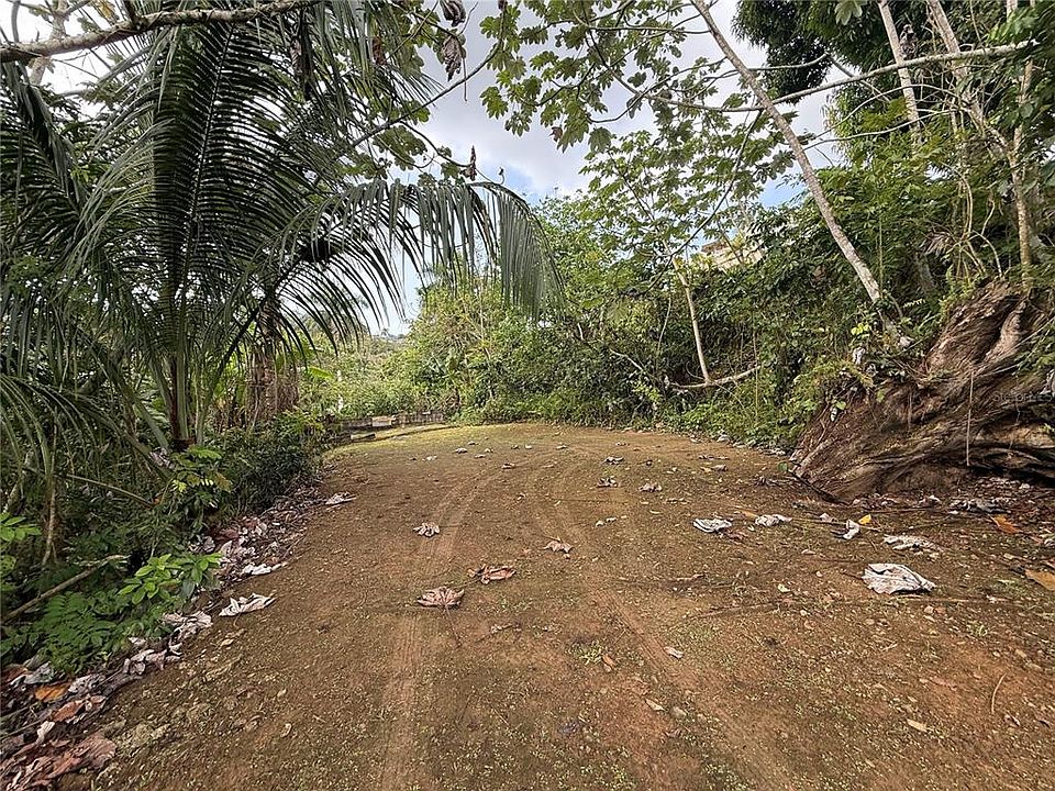 1st image of 835 KM 5.4 INT,. LOT 8 MAMEY WD #LOT 8