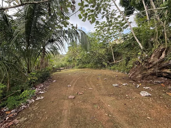 835 KM 5.4 INT,. LOT 8 MAMEY WD #LOT 8, GUAYNABO, PR 00969