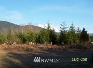 113 Glacier View Ct, Mineral, WA 98355