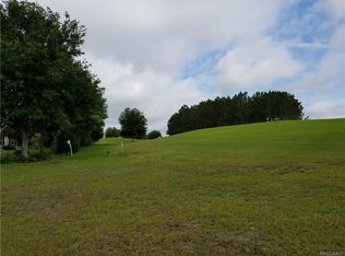 503 W Mickey Mantle Path, Hernando, FL 34442