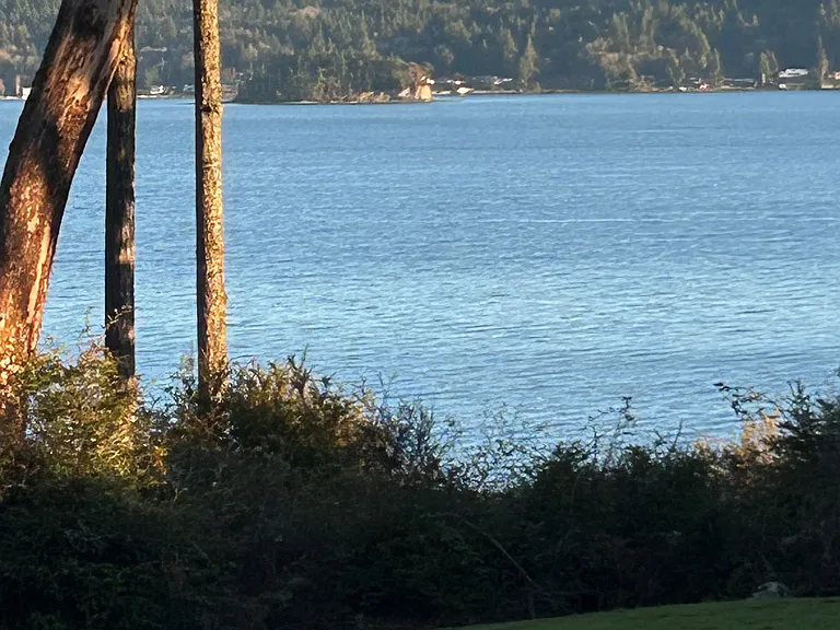 Scenic View