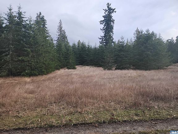 2nd image of 0 Lilly Rd