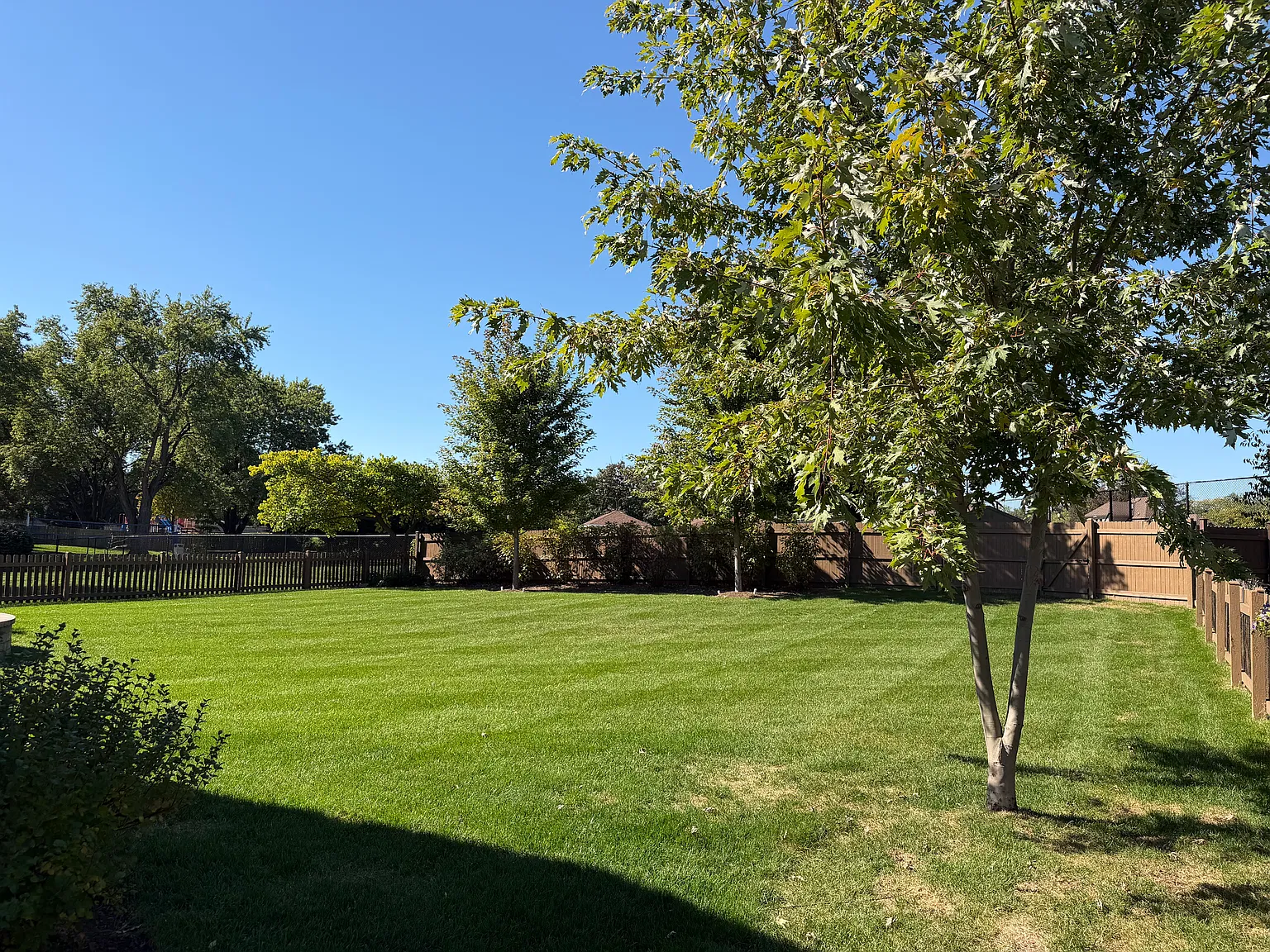 3 bed, 1872 sqft, $3,800 — Photo 4