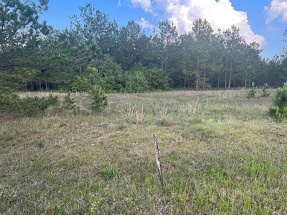 3rd image of 9136 Black Buck Ln