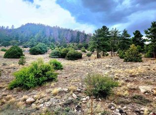 43 Ellingwood Dr, South Fork, CO 81154