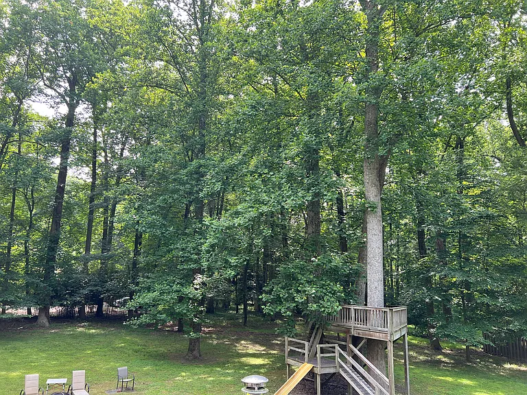 tree play area, deck