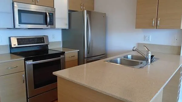 1 bed, 545 sqft, $2,500 — Photo 2