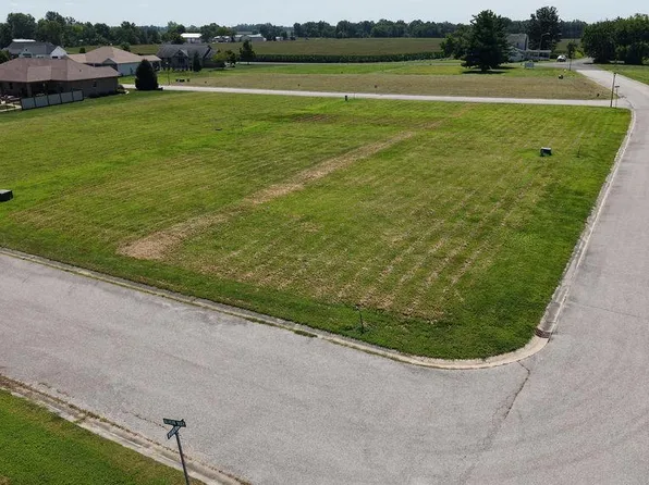 965 Alicia Way, Staunton, IL 62088