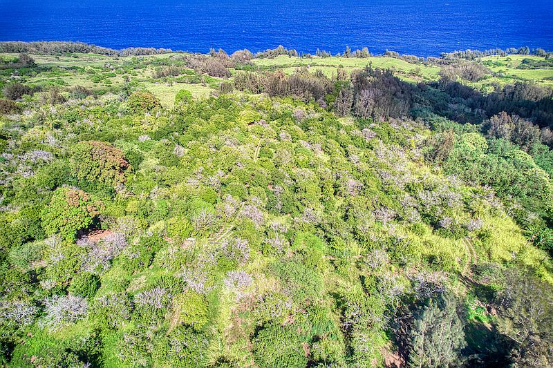 474536 Honokaa Waipio Rd, Honokaa, HI 96727 Zillow