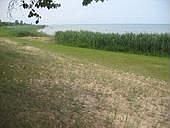 100 ft. of sandy walk-out shoreline