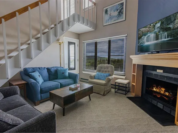 5313 Silvercreek Ldg, Snowshoe, WV 26209