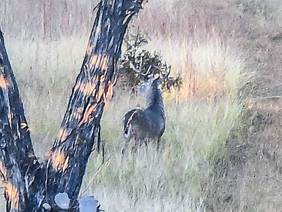 2nd image of Off Of Fm 1238