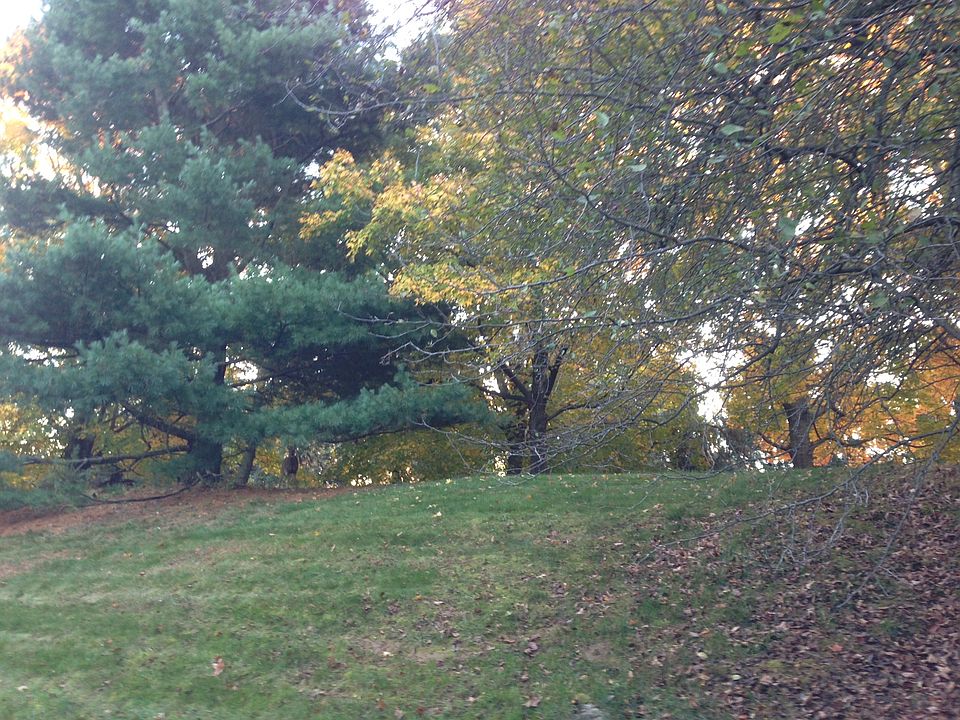 2nd image of 26 Flintlock Ln