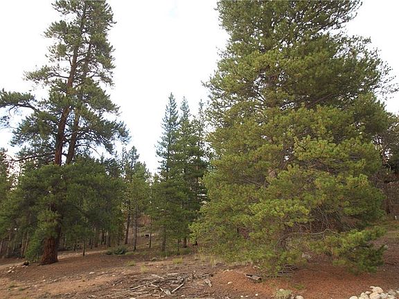 3rd image of 29 Juniper Dr