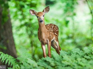 0 Fawn Dr, Winchester, VA 22602