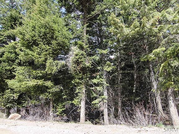 5th image of 3120 Canyon Crest Dr