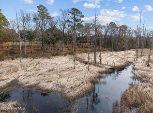 1405 Ness Dr, Castle Hayne, NC 28429