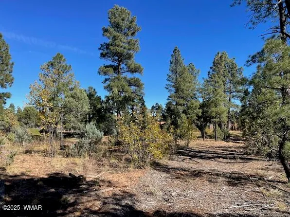 5251 S Marshall Mountain Dr, Show Low, AZ 85901