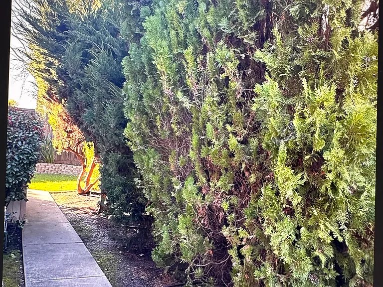 200 Larkspur Dr — Photo 19