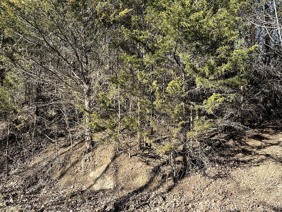 2nd image of 0 Davis Rd Lot 2