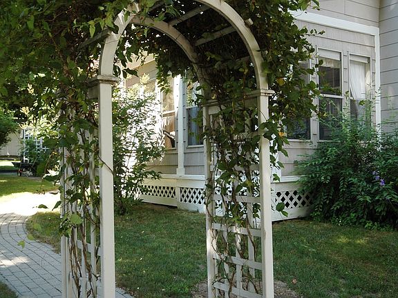 Side yard