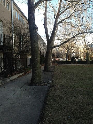 2nd image of 5502 S Harper Ave