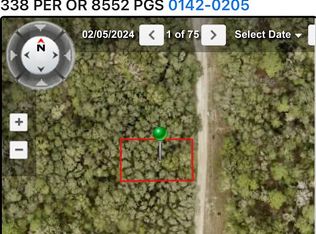 2275 Hamilton Ave, Orange City, FL 32763